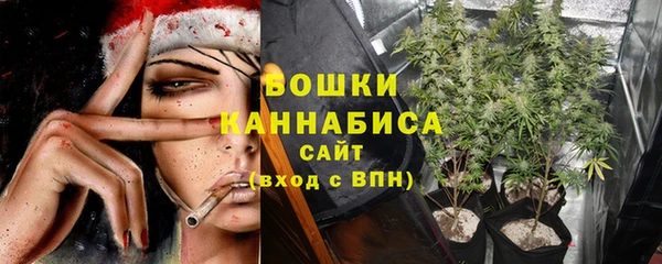 apvp Аркадак
